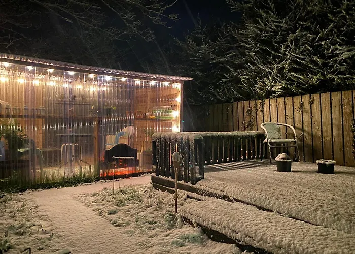 Yellow Door Bed & Breakfast Moville